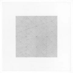  Patrick Carrara Patrick Carrara Graphite on Magni Drawings Garden of Silence Series 2009 - 3535252