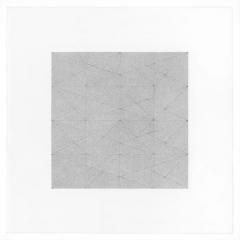  Patrick Carrara Patrick Carrara Graphite on Magni Drawings Garden of Silence Series 2009 - 3535255