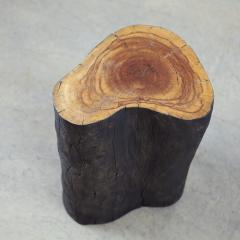  Pfeifer Studio Margo Grande Outdoor Log Table S01 - 4252053