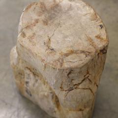  Pfeifer Studio Petrified Wood Log Table S01 - 4252066