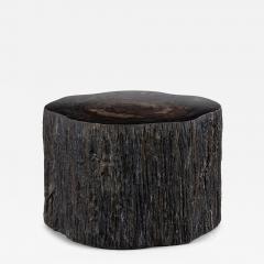  Pfeifer Studio Qara Petrified Cocktail Table - 4727606