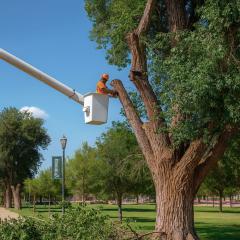  Pfeifer Studio Zephyr Occasional Table - 4534441