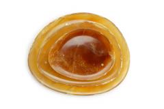  Pieruga Marble Set of Plates in Amber Onyx hand carved in Italy - 1460381