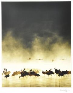  ROGER HOOPER Flamingoes at Sunrise Lake Nukuru Kenya by ROGER HOOPER - 2941512