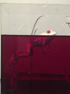  Roselli STRIKING RED CLEAR LUCITE FROG AND DRAGONFLY POP ART DIORAMA - 802072