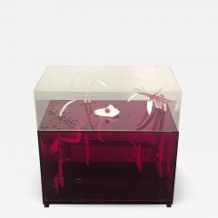  Roselli STRIKING RED CLEAR LUCITE FROG AND DRAGONFLY POP ART DIORAMA - 802550