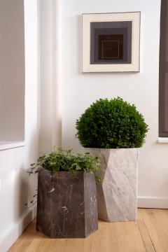  Rottet Collection SCUTOID PLANTER MEDIUM CARVED  - 4288762