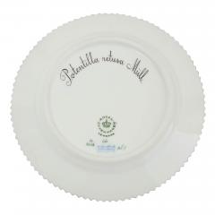  Royal Copenhagen 148 Piece Royal Copenhagen Flora Danica Part Dessert Service By Royal Copenhagen - 4644995