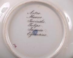  Royal Vienna Porcelain Vienna Botanical Cup and Saucer c 1823 - 4463644