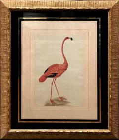  SARAH STONE SARAH STONE BRITISH C 1760 1844 FLAMINGO - 2965935