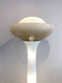  Selenova Mid Century Modern Floor Lamp by Carlo Nason for Selenova - 3240963