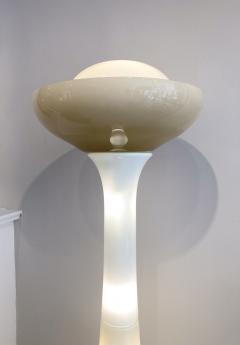  Selenova Mid Century Modern Floor Lamp by Carlo Nason for Selenova - 3240964