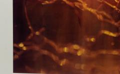  Shelley Harrison Color Abstract Photograph - 3187382