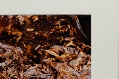  Shelley Harrison Color Photograph Of Silver Foil - 3187131