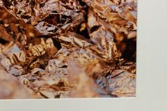  Shelley Harrison Color Photograph Of Silver Foil - 3187132