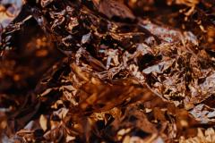  Shelley Harrison Color Photograph Of Silver Foil - 3187133