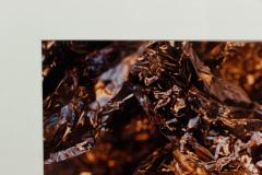  Shelley Harrison Color Photograph Of Silver Foil - 3187134