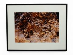  Shelley Harrison Color Photograph Of Silver Foil - 3187135