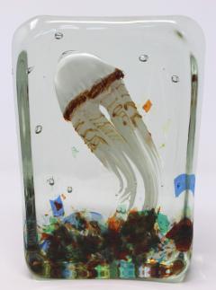  Signoretti Squid Aquarium - 660719
