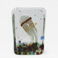  Signoretti Squid Aquarium - 662223