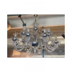  SimoEng Contemporary Ca Rezzonico With Flowers and Leaves Murano Glass Chandelier - 3232940