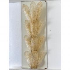  SimoEng Huge Scenographic Wall Sconce in Amber Graniglia Leaves Murano Glass Simoeng - 4735543