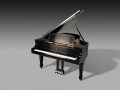  Steinway Steinway Sons Baby Grand Model L Piano Fully Refurbished 19th Century - 3979440