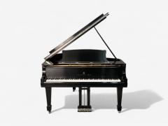  Steinway Steinway Sons Baby Grand Model L Piano Fully Refurbished 19th Century - 3979441