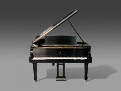  Steinway Steinway Sons Baby Grand Model L Piano Fully Refurbished 19th Century - 3979442