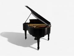  Steinway Steinway Sons Baby Grand Model L Piano Fully Refurbished 19th Century - 3979445