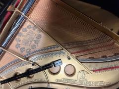  Steinway Steinway Sons Baby Grand Model L Piano Fully Refurbished 19th Century - 3979448