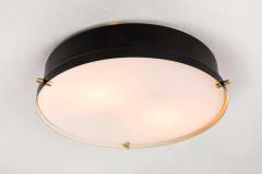  Stilnovo 1960s Bruno Gatta Wall or Ceiling Light for Stilnovo - 1404923