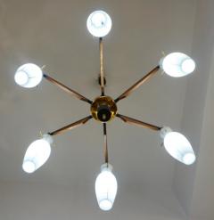  Stilnovo Stilnovo 1958 Italian Black White Glass Pair of 6 Light Teak Brass Chandeliers - 2990742