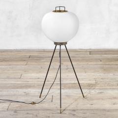  Stilnovo Stilnovo Brass and Metal Floor Lamp 1960 - 4331747