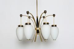  Stilnovo Stilnovo chandelier Mid Century Modern Opaline Glass Brass 1960s - 4470246