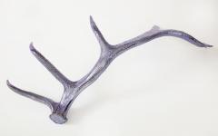  Studio Greytak Purple Chromed Elk Antler Shed - 1643944