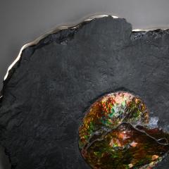  Studio Greytak Studio Greytak Ammonite on Bronze Ammonite and Mirror Polished Bronze Wall Art - 1083816