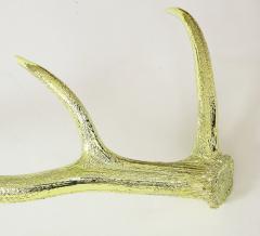  Studio Greytak Yellow Gold Chromed Elk Antler Shed - 1641525