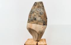  Sylvia Eustache Rools and J r me Pereira Carboniferous IV - 4466208