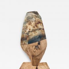  Sylvia Eustache Rools and J r me Pereira Carboniferous IV - 4466280