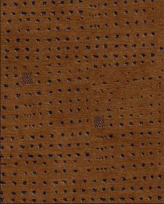  Temple rugs Graffito - 4538264