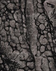  Temple rugs Salt Point - 4538298