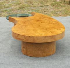  Thayer Coggin Vintage Lightly Restored Free Form Burl Wood Glass Coffee Table - 3856774