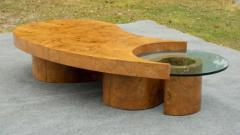  Thayer Coggin Vintage Lightly Restored Free Form Burl Wood Glass Coffee Table - 3856785