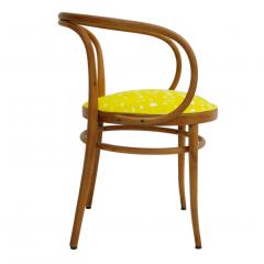  Thonet 209 Thonet Mid Century Birchwood Yellow Upholstery Chairs Germany 1900 - 1039298