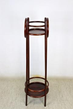  Thonet 20th Century Art Nouveau Pedestal Plant Stand by THONET Bentwood AT ca 1905 - 4279905