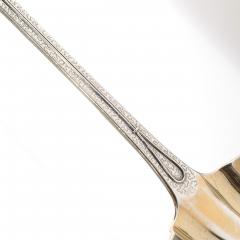  Tiffany Co Aesthetic Movement Tiffany Co Sterling Gold Washed Daisy Pattern Ladle - 4744859