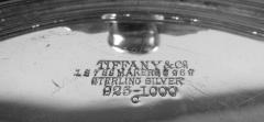  Tiffany Co Antique Tiffany Victorian Classical Sterling Silver Centerpiece Bowl - 4221368