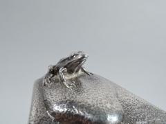  Tiffany Co Market Fresh Tiffany Mixed Metal Frog Beetle Water Pitcher C 1879 - 3750288