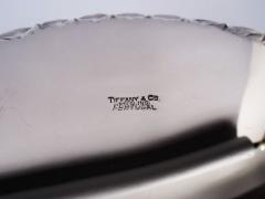  Tiffany Co Striking Tiffany Modern Classical Sterling Silver Bowl - 3769845